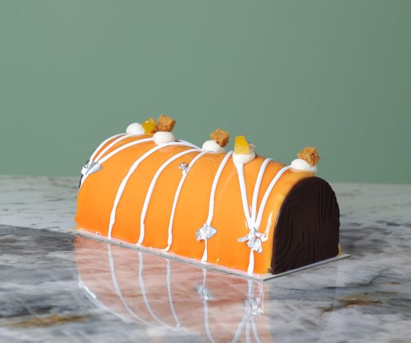 WhatsApp Image 2025-12-17 at 17.49.54